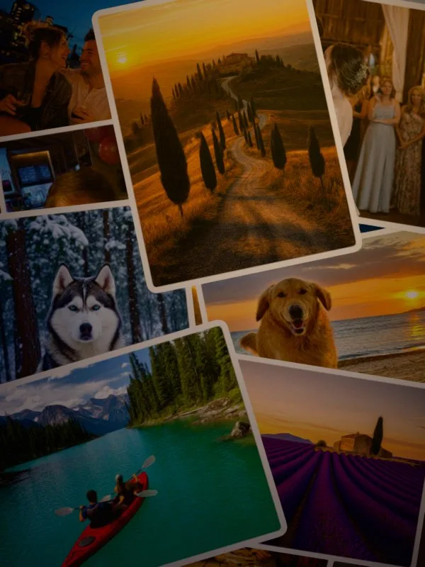 The Golden Hour gallery